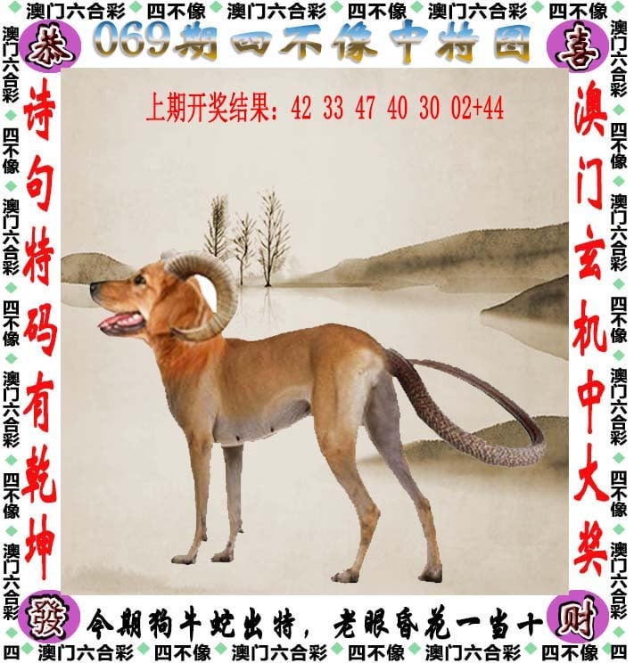 今日买特马19年今日买特马，一次难忘的购物体验