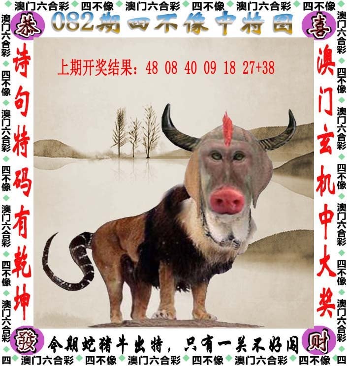 香港马会开奖现场揭秘