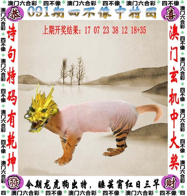 243期澳门网2024新澳免费资料三头67期，引领未来，开启智慧之门