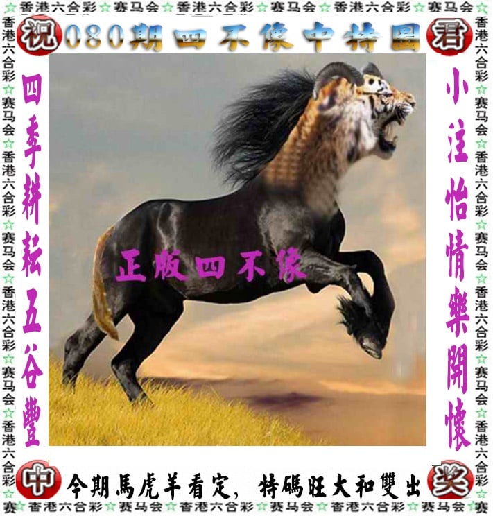 管家婆六肖中特网，神秘与实用的数字世界-第2张图片
