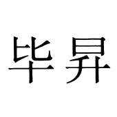 当代毕升当代毕升，创新与变革的引领者-第2张图片