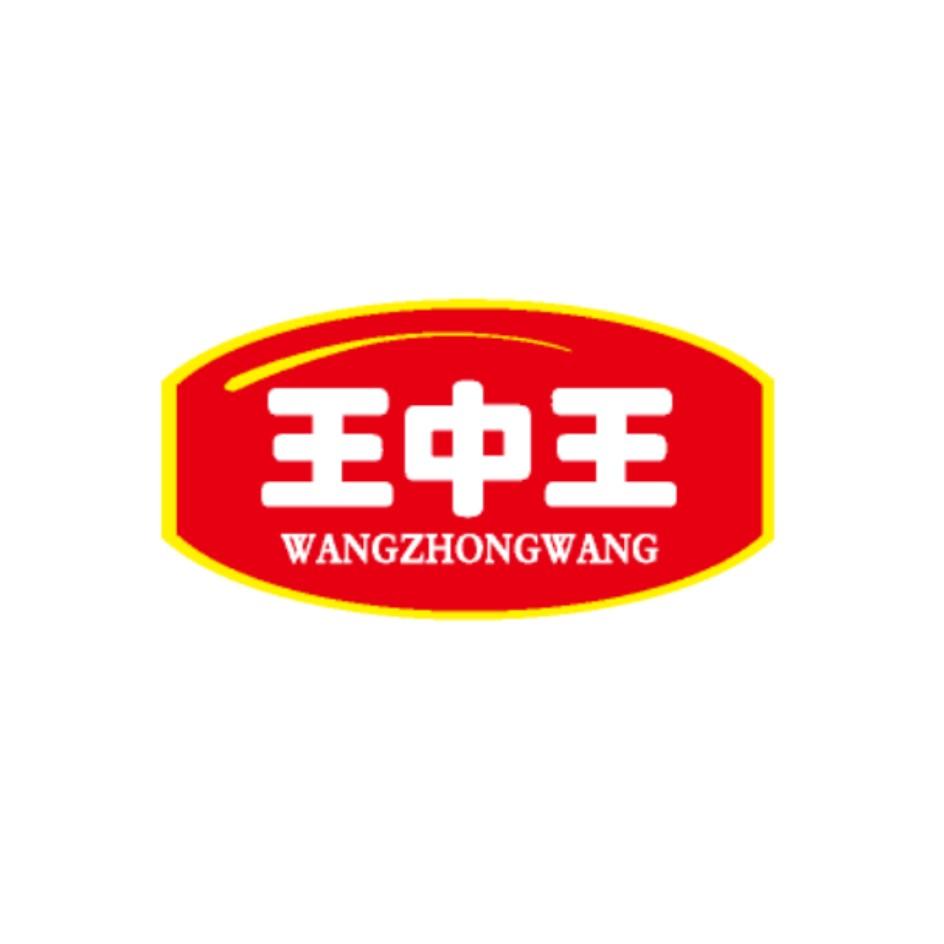 王中王资料大全枓大全特管家王中王资料大全特辑-第1张图片