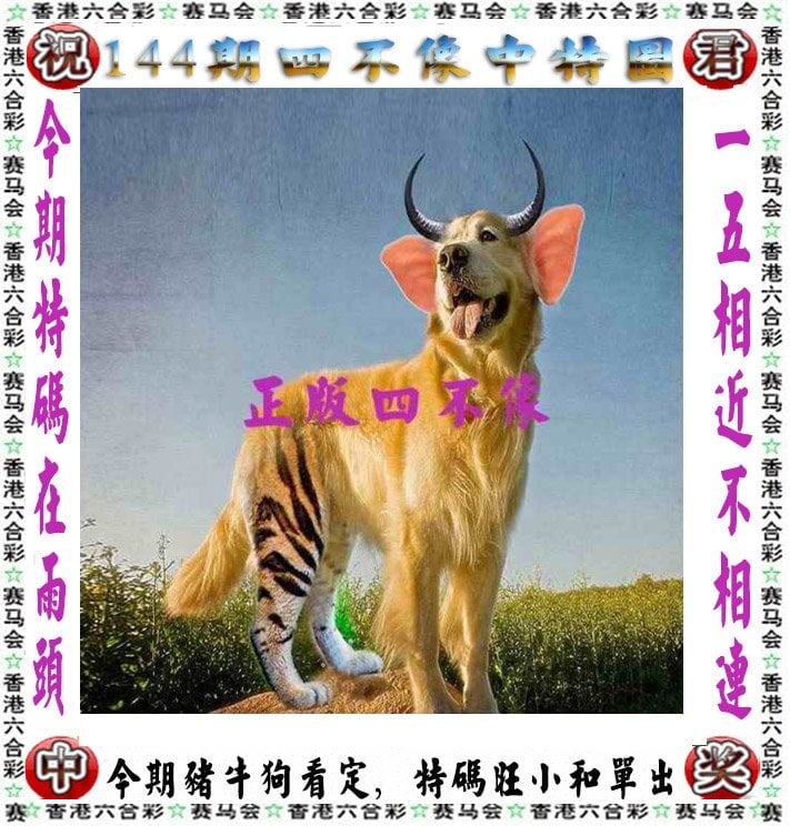 2023年正版澳门全年免费资料大放送