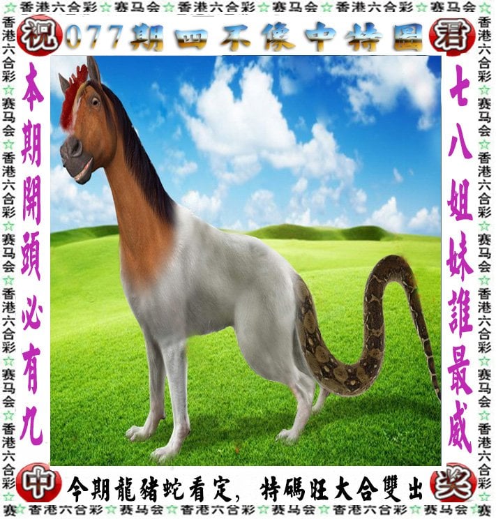 2023新澳门天天开好彩，新篇章下的幸运之旅