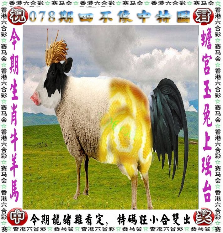 澳门4949资料免费大全澳门4949资料免费大全