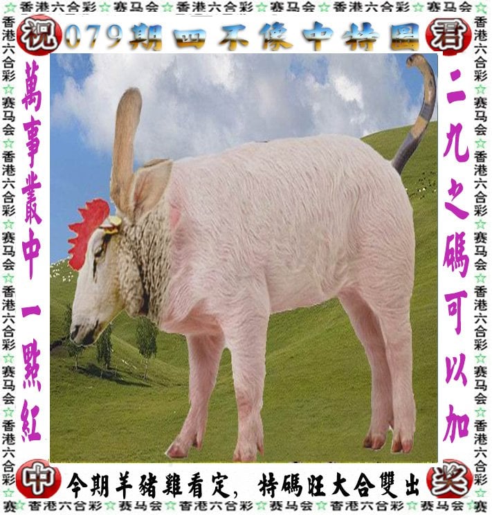 澳门2023历史开奖结果澳门2023历史开奖结果回顾
