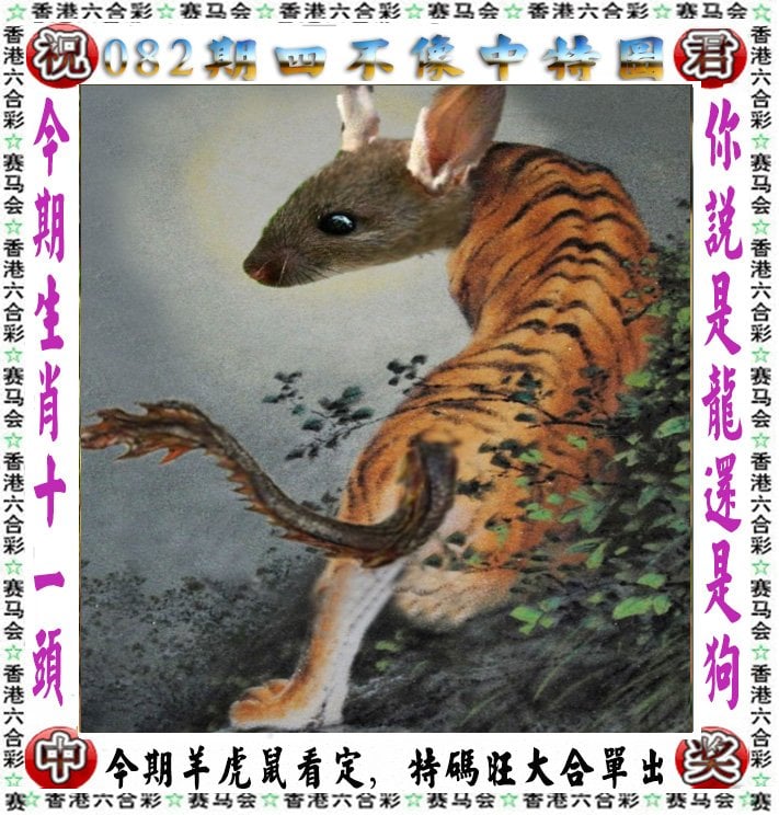 308二四六玄机资料大全