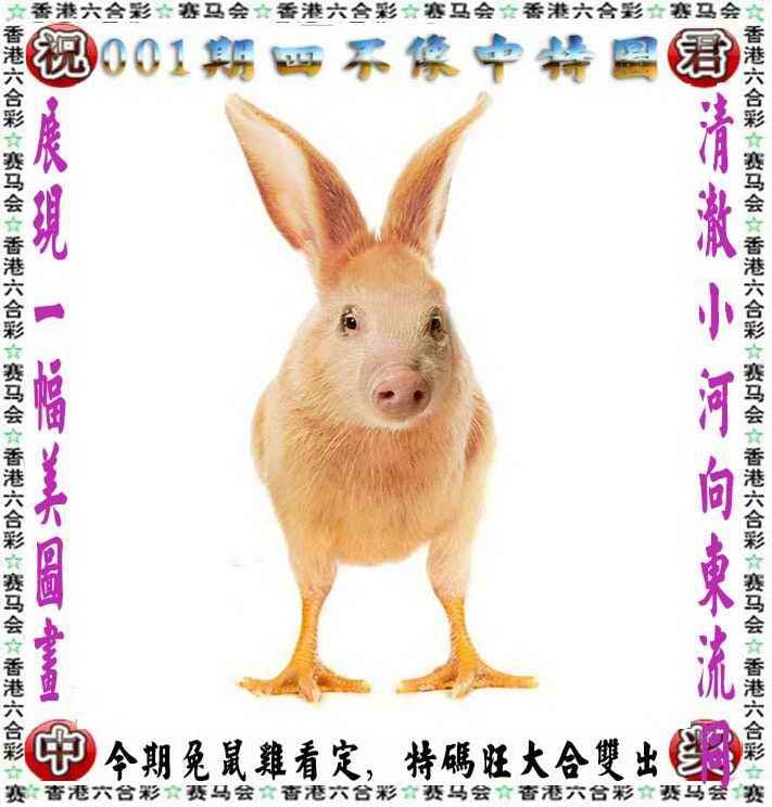澳门生肖彩资料大全澳门生肖彩资料大全-第3张图片