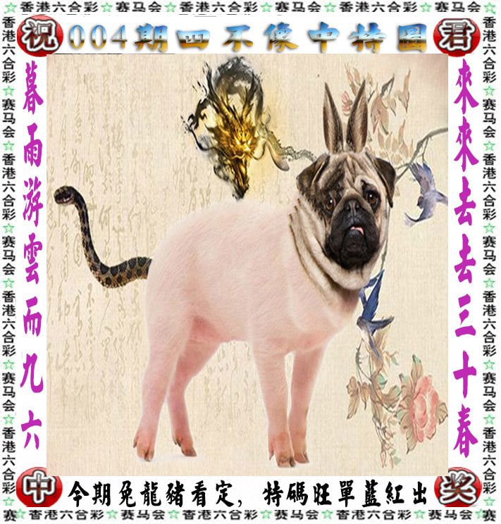 澳门今晚开奖结果记录2023