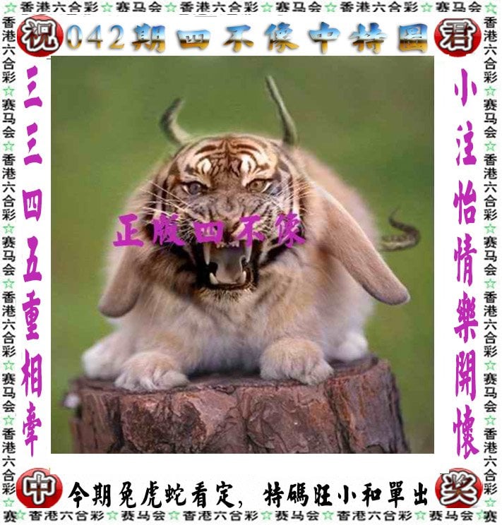 白小姐一码必中一码