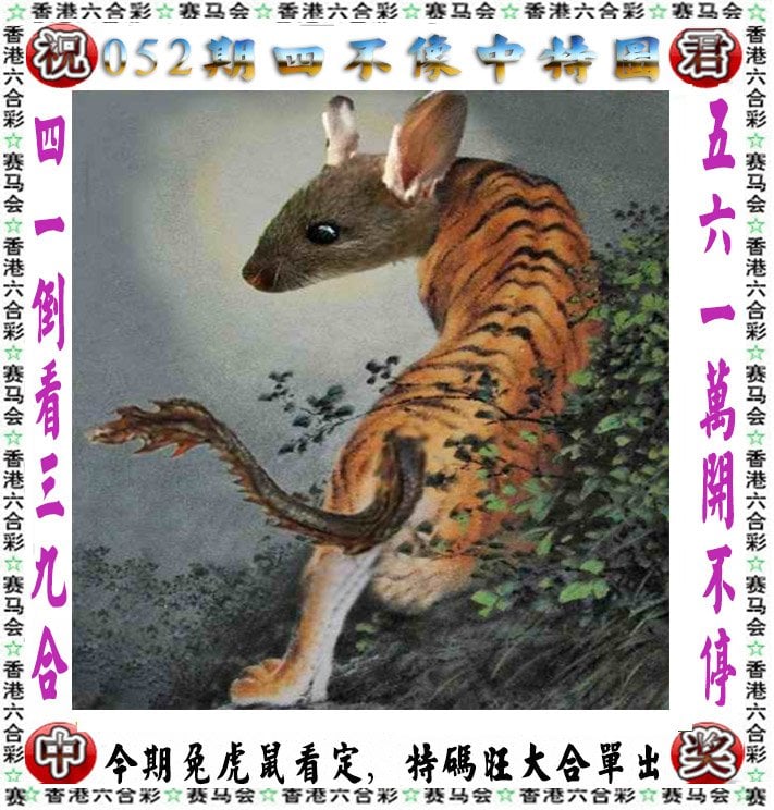 2024澳门资料大全正版资料