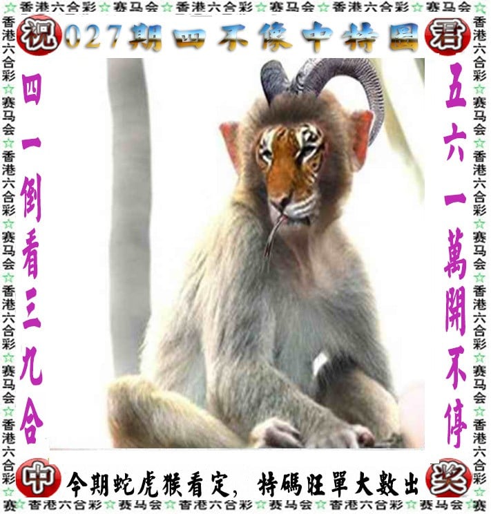 香港近50期历史记录大全汇总-第2张图片