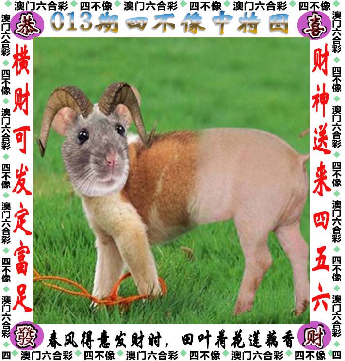 2022澳门彩免费资料大全APP
