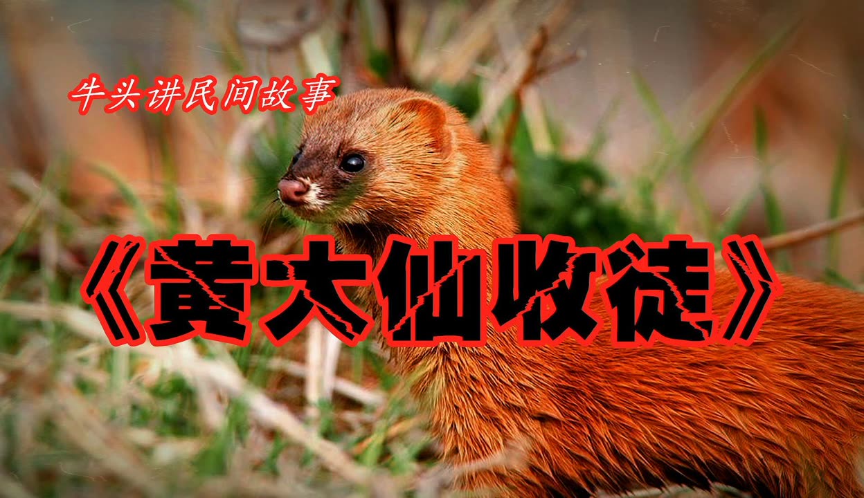 黄大仙精选资料一肖一码黄大仙精选，肖码之谜