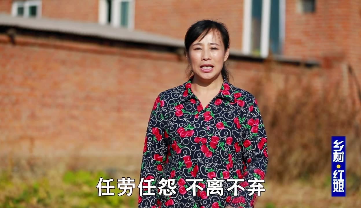 红姐论坛红姐论坛，探索网络交流的新天地-第2张图片