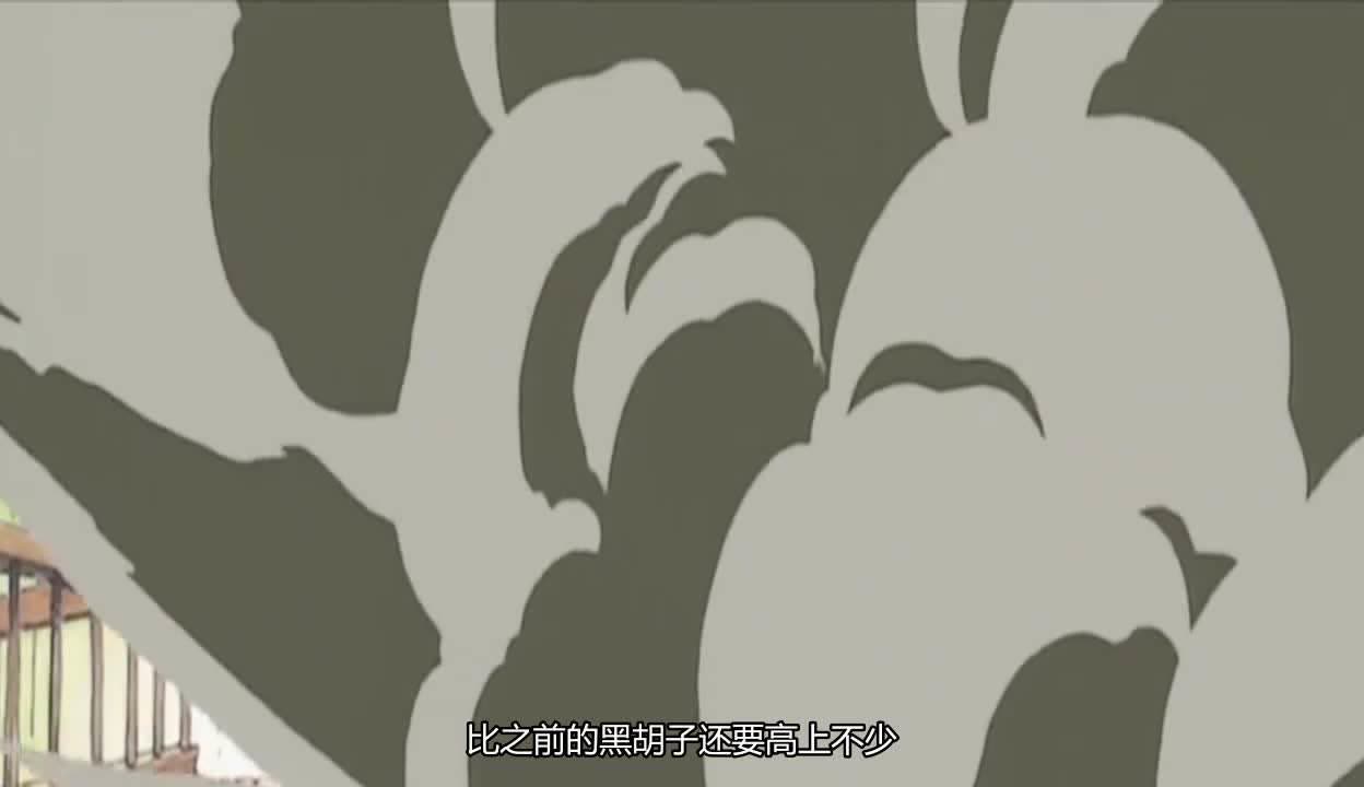 动漫情报，探寻神秘世界-第1张图片