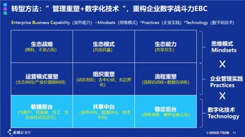 探索好haobc，引领数字化时代的新选择-第2张图片