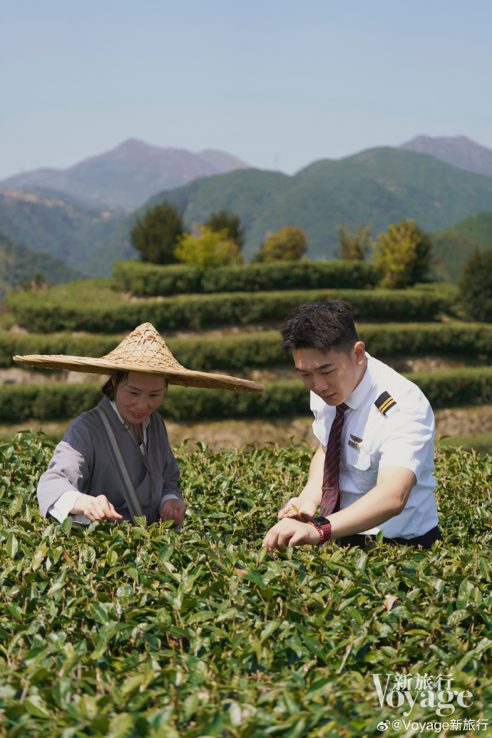 茶叶可以带上飞机吗不托运茶叶能否带上飞机-第1张图片