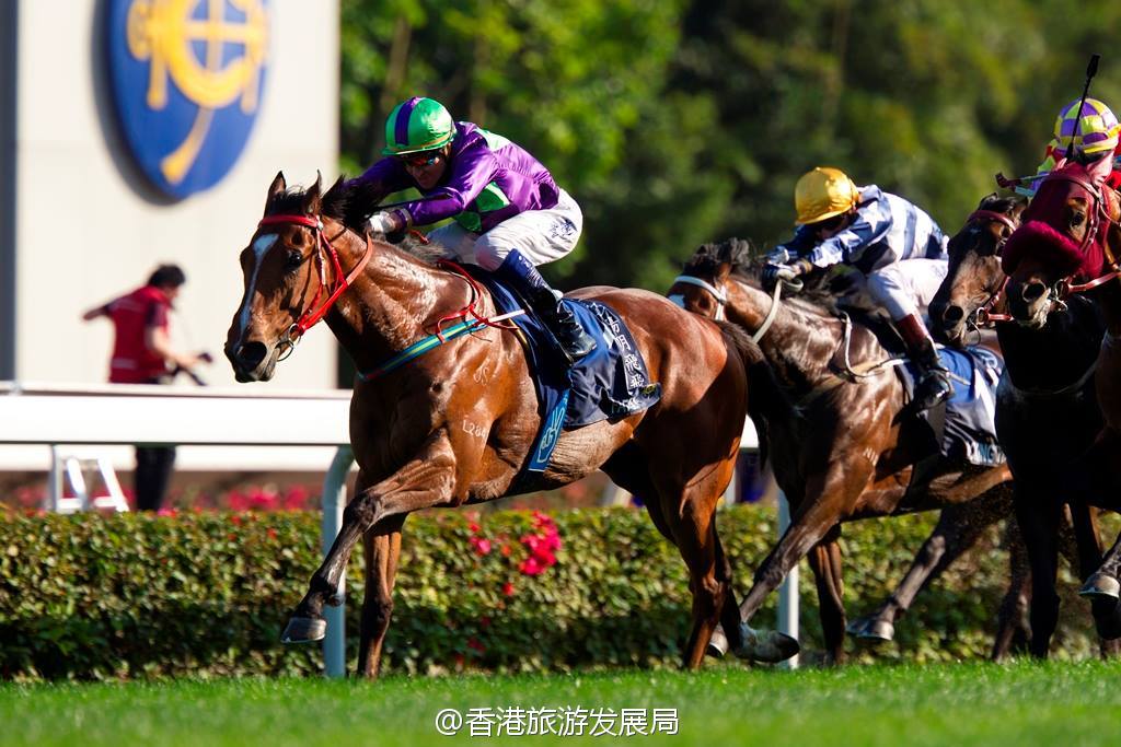 香港开马开奖现场直播香港开马开奖现场直播