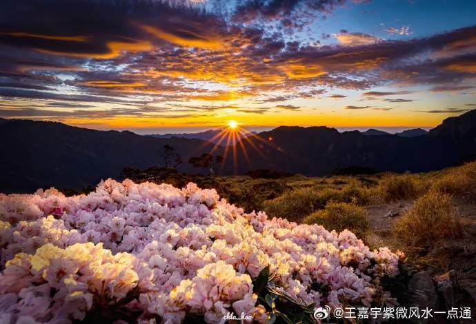 好运一点通免费论坛好运一点通高手论坛，探索成功之路