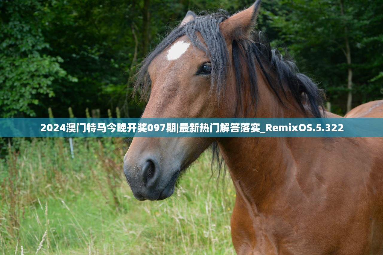 2024新奥历史开奖记录85期深度解析-第2张图片