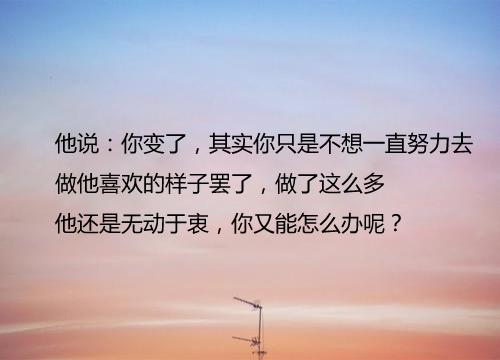 不想让你看见不想让你看见的文章-第3张图片