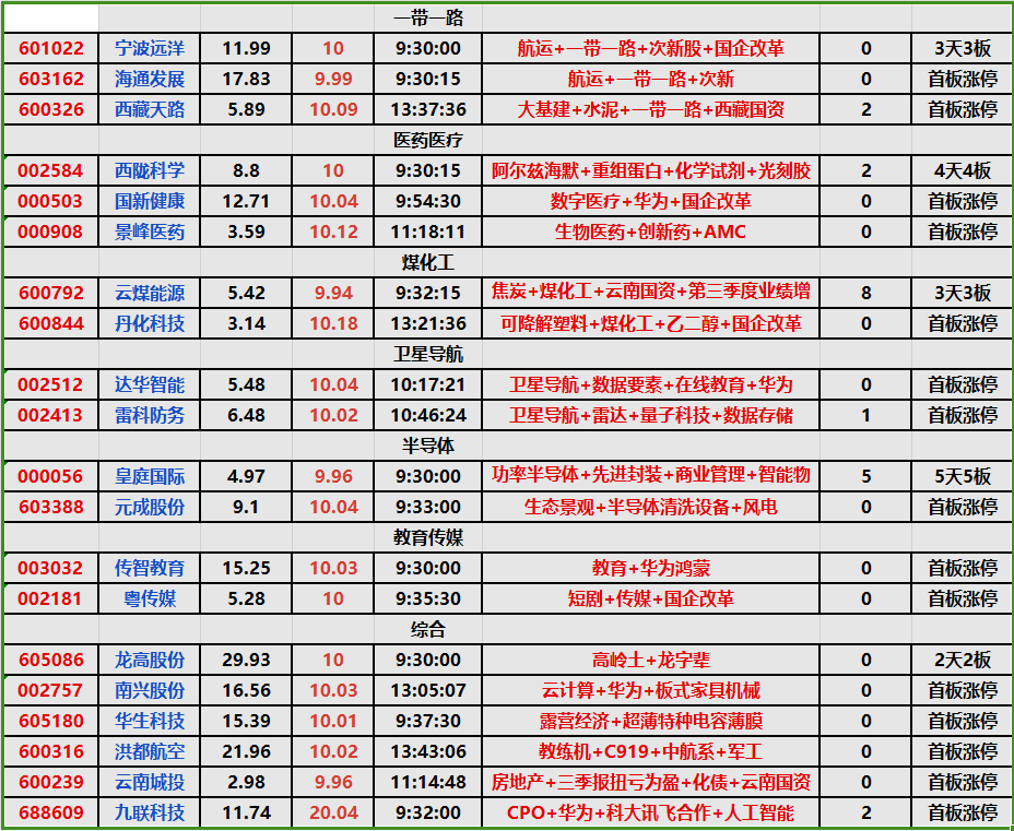 2024年新澳门王中王资料2024年新澳门王中王资料概览