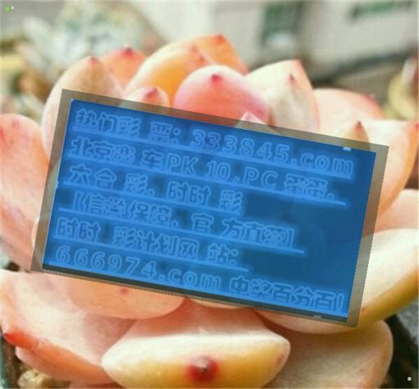 管家婆一码一肖，精准预测的神秘力量-第3张图片