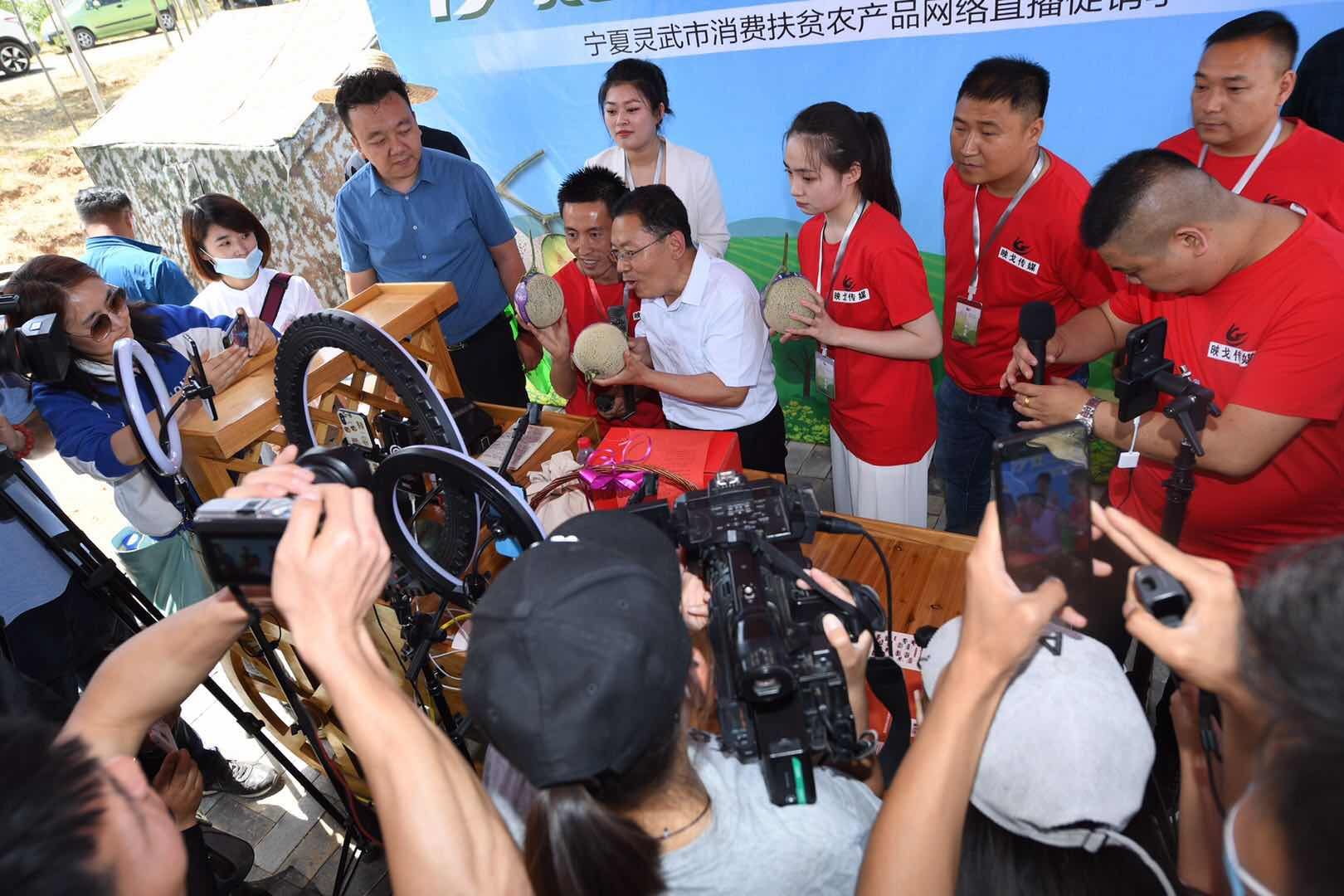 荷桂生态文化旅游节公司是做什么荷桂生态文化旅游节盛大开幕