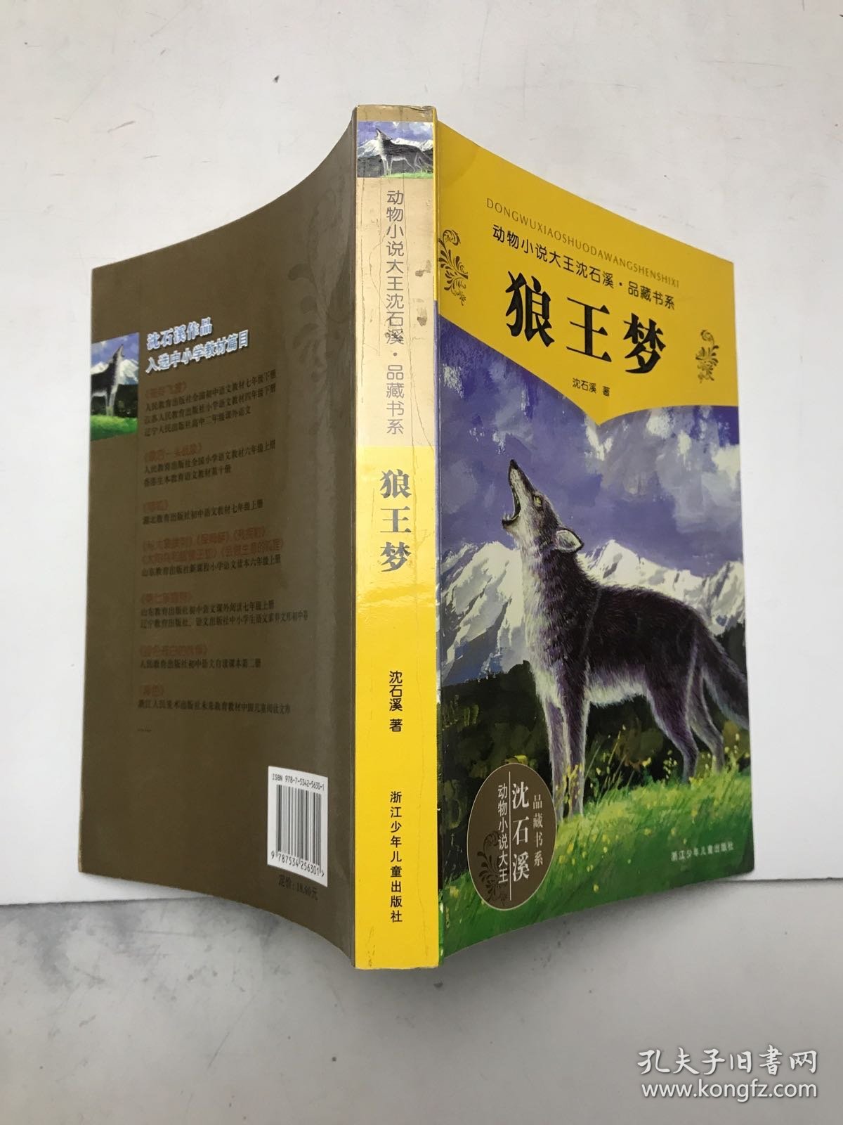 《狼王梦》全文阅读狼王梦全文阅读-第2张图片