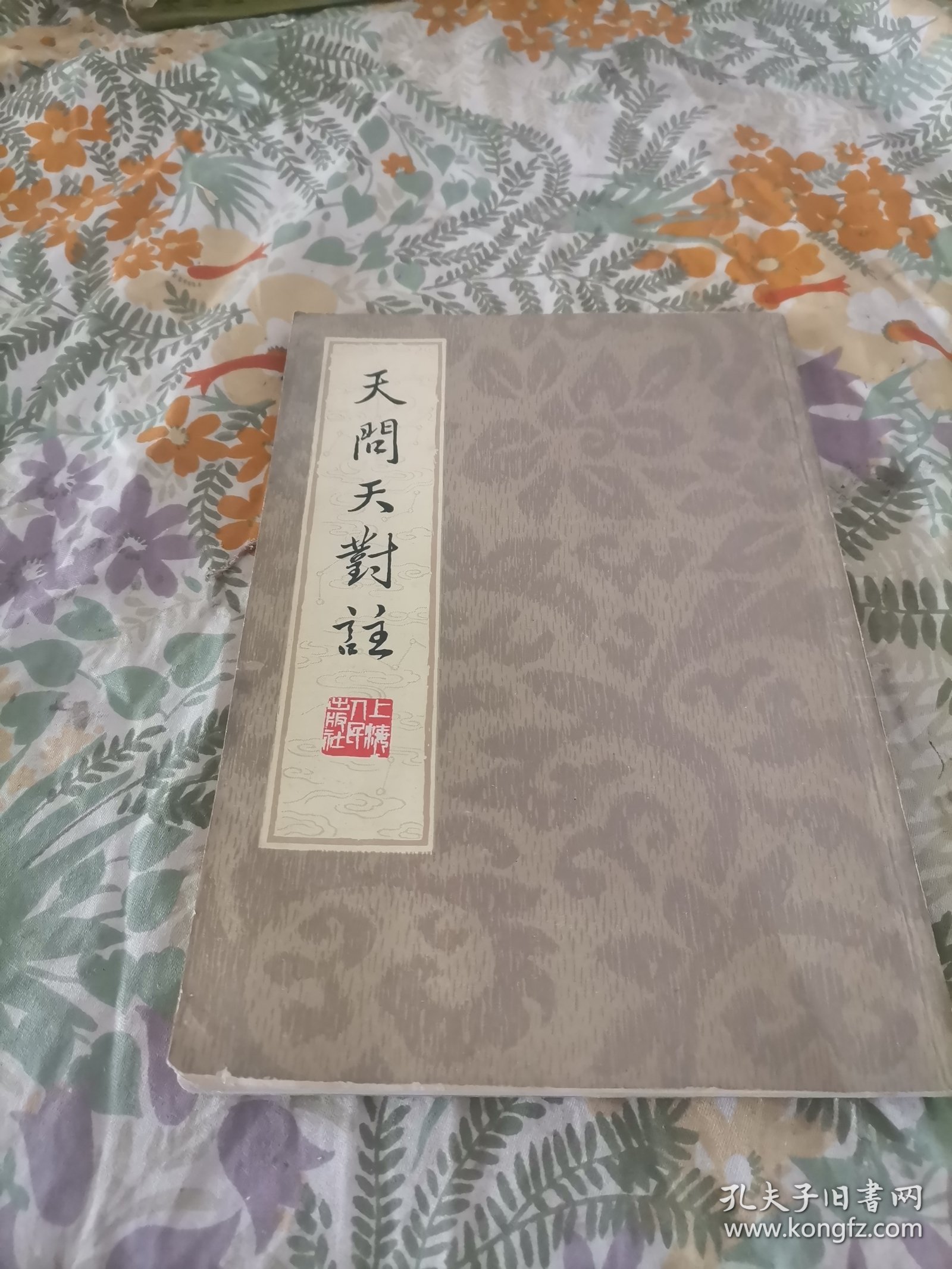 天问小说-第2张图片
