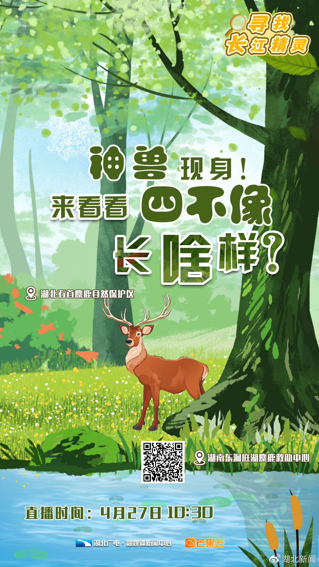 四不像特肖图 打开四不像特马生肖图2018-第2张图片