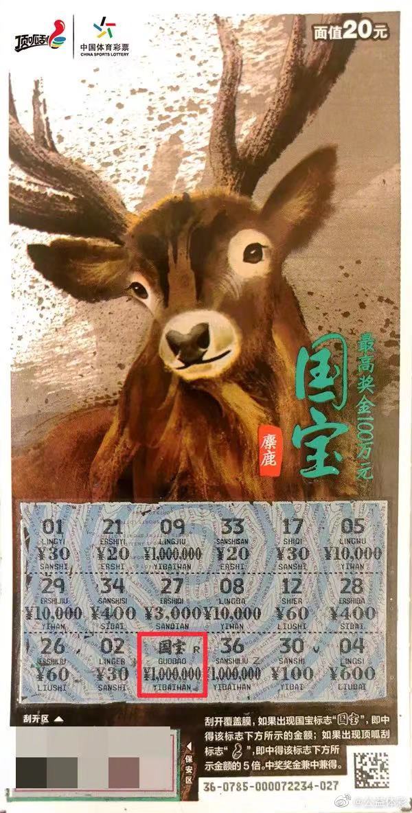 一码一肖一码一肖，解锁数字世界的彩票奇迹-第3张图片
