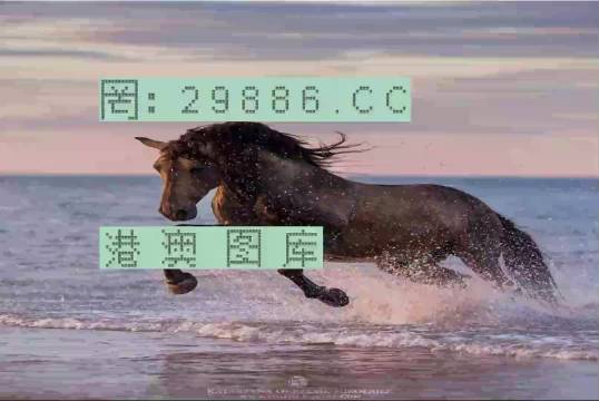 四肖八码准稳-第3张图片