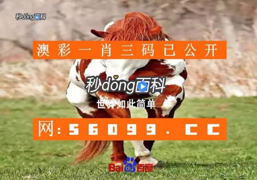 澳门一肖一码100精准