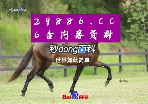 澳门一肖一码100%准确下载澳门一肖一码100%准确下载，揭秘彩票预测-第3张图片