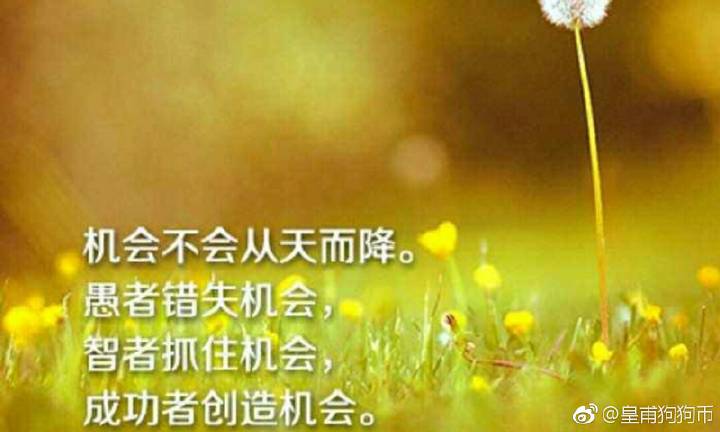 得意论坛得意论坛，探索网络交流的新天地-第3张图片