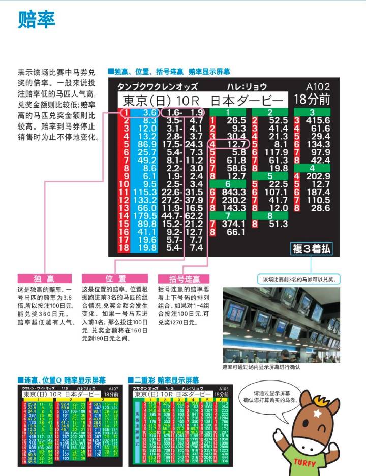 马会传真13262cc论坛十年老藏家马会传真13262cc论坛，探索交流与信息共享的平台-第2张图片