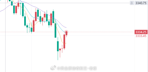 山东十一选五走势图山东十一选五走势图分析-第2张图片