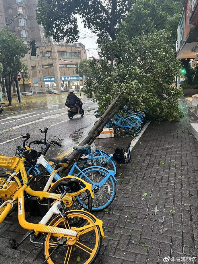 上海台风刚刚最新通知上海遭遇台风，风雨中的城市之旅-第2张图片
