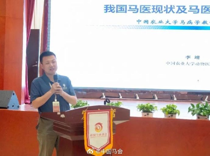 二o一九年马会正版资料2019年中国马会全年资枓盛会