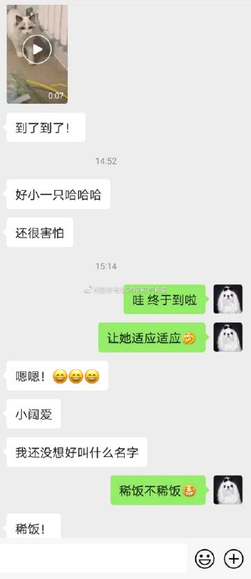 爱唯侦察最新网址揭秘-第2张图片
