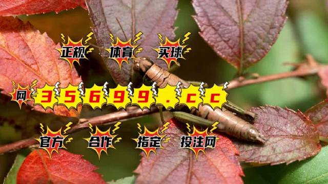 澳门精准免费资料大全U7-第1张图片