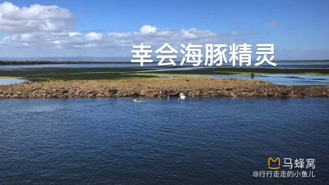 小鱼儿主页小鱼儿主页，探索无限可能-第2张图片