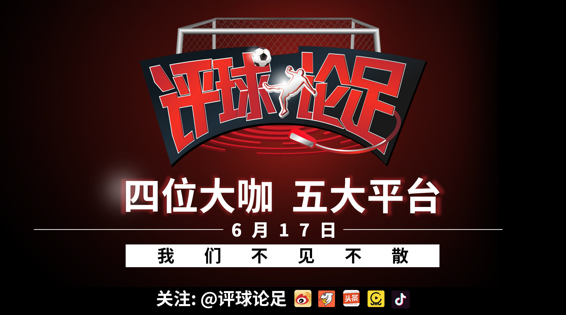 博狗网站多少啊博狗网HAOBC，引领宠物行业的新篇章-第2张图片