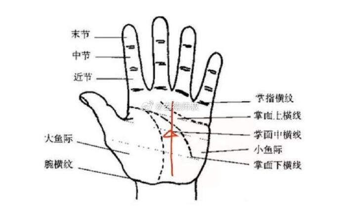 手相没有事业线的人真的不好吗手相没有事业线解析-第2张图片