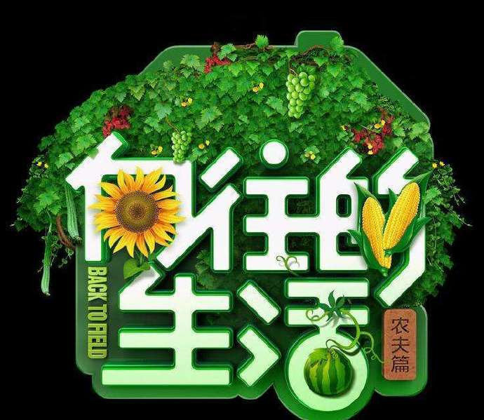 最强农夫的神医技能最强农夫