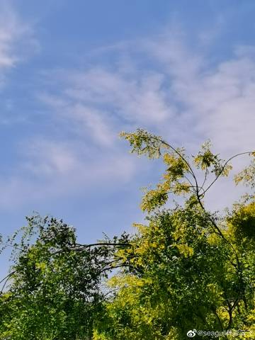 二四六天空彩选好资料二四六天空彩选，好资料推荐
