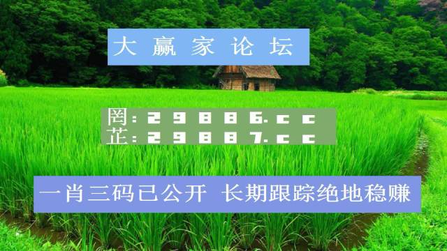 一码一肖100准打开码结果一码一肖100准，开启码结果揭秘