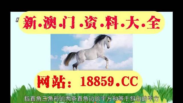 2019特马资料大全免费版-第2张图片